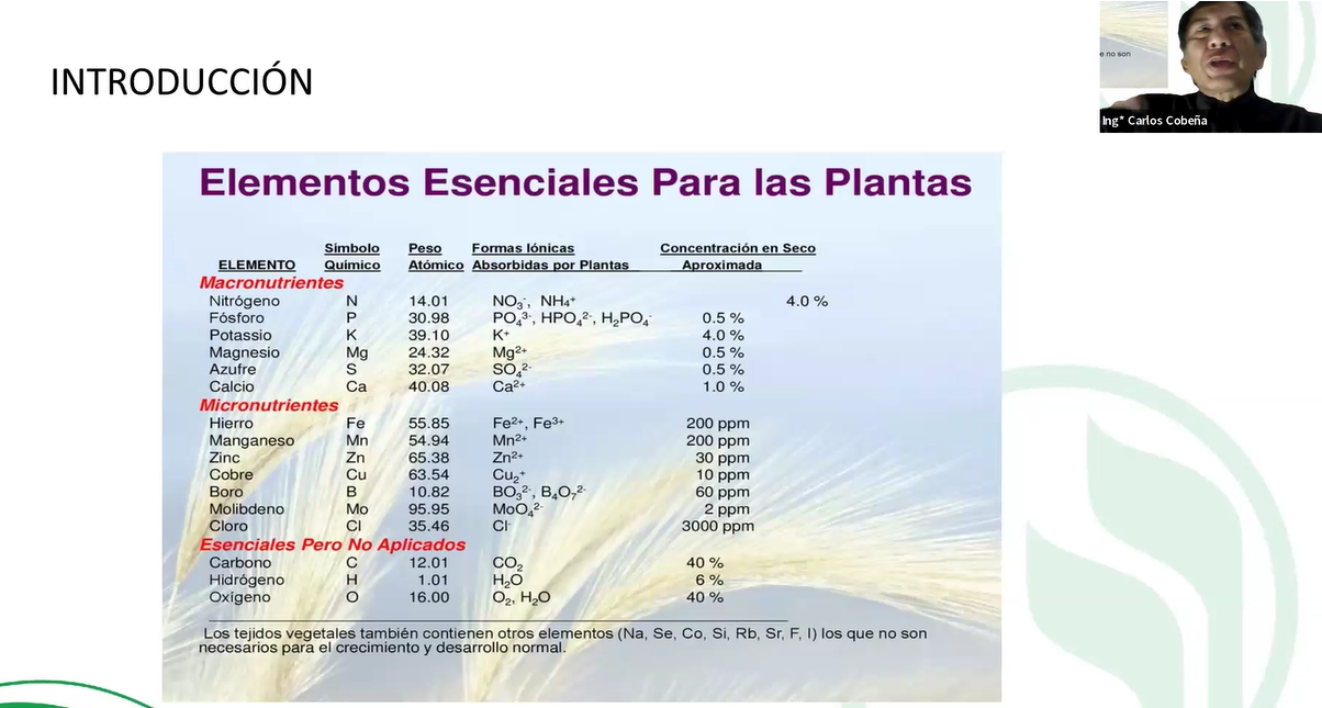 FERTILIZANTES Y NUTRICIÓN VEGETAL